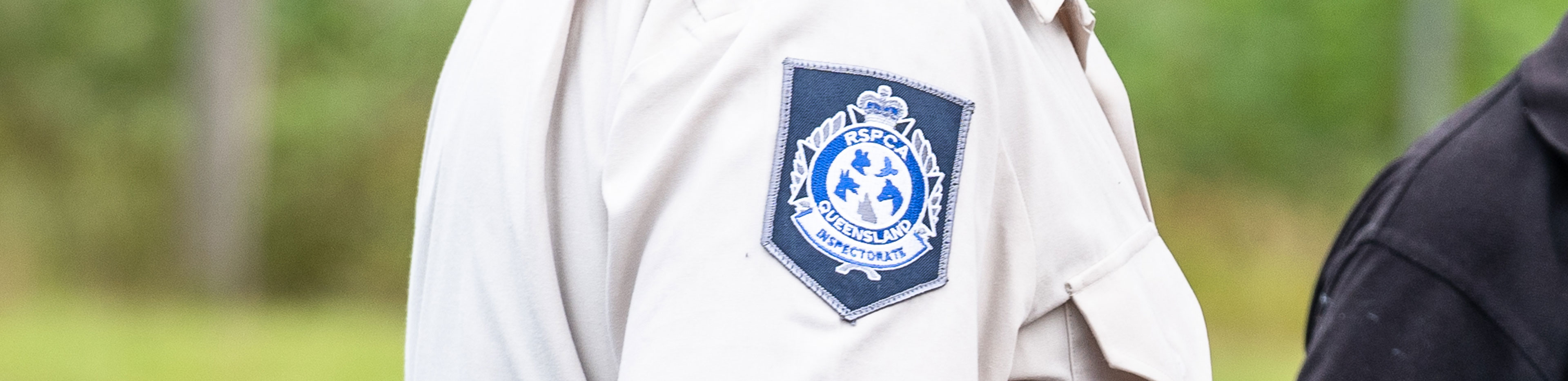 rspca inspectorate prosecution outcome